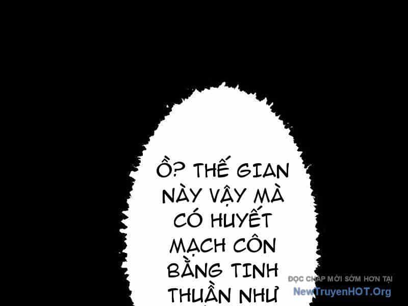 Gặp Mạnh Thì Càng Mạnh, Tu Vi Của Ta Không Giới Hạn - Chương 71 - ảnh 25