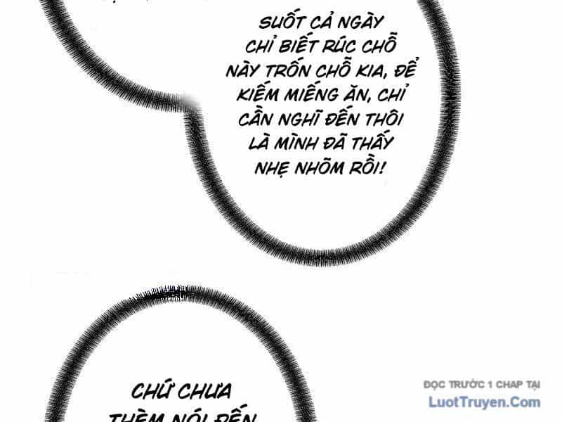 Gặp Mạnh Thì Càng Mạnh, Tu Vi Của Ta Không Giới Hạn - Chương 78 - ảnh 122