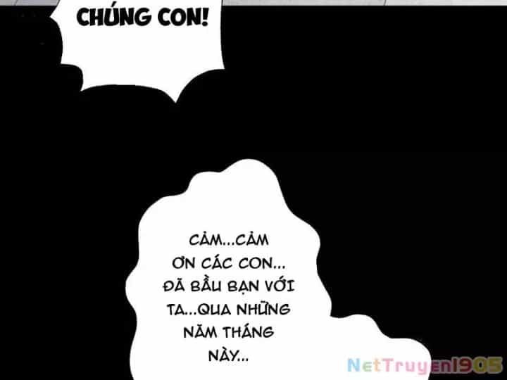 Gặp Mạnh Thì Càng Mạnh, Tu Vi Của Ta Không Giới Hạn - Chương 80 - ảnh 6