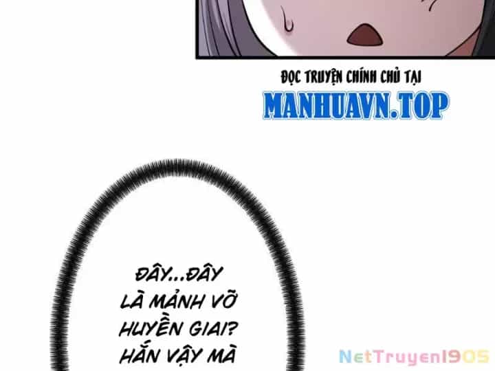 Gặp Mạnh Thì Càng Mạnh, Tu Vi Của Ta Không Giới Hạn - Chương 82 - ảnh 34