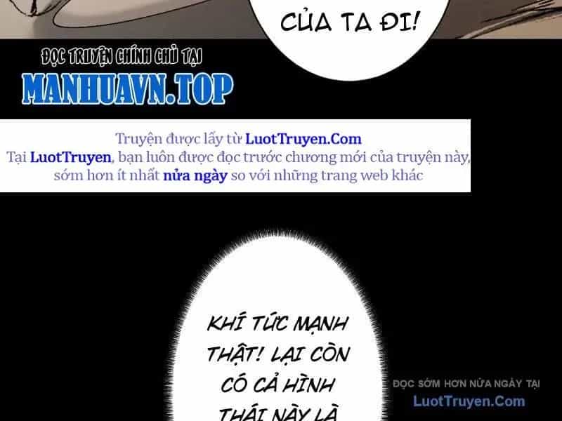 Gặp Mạnh Thì Càng Mạnh, Tu Vi Của Ta Không Giới Hạn - Chương 84 - ảnh 80