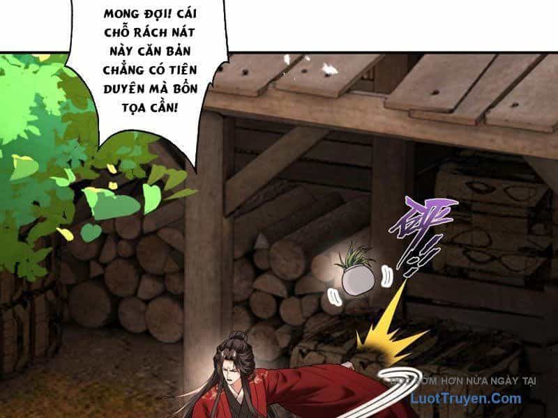 Gặp Mạnh Thì Càng Mạnh, Tu Vi Của Ta Không Giới Hạn - Chương 90 - ảnh 103