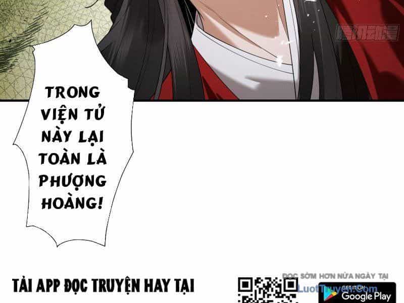 Gặp Mạnh Thì Càng Mạnh, Tu Vi Của Ta Không Giới Hạn - Chương 90 - ảnh 115