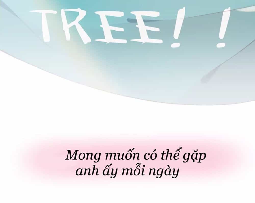 Gay Rồi! Tôi Và Antifan Hoán Đổi Linh Hồn Rồi. - Chương 0 - ảnh 6