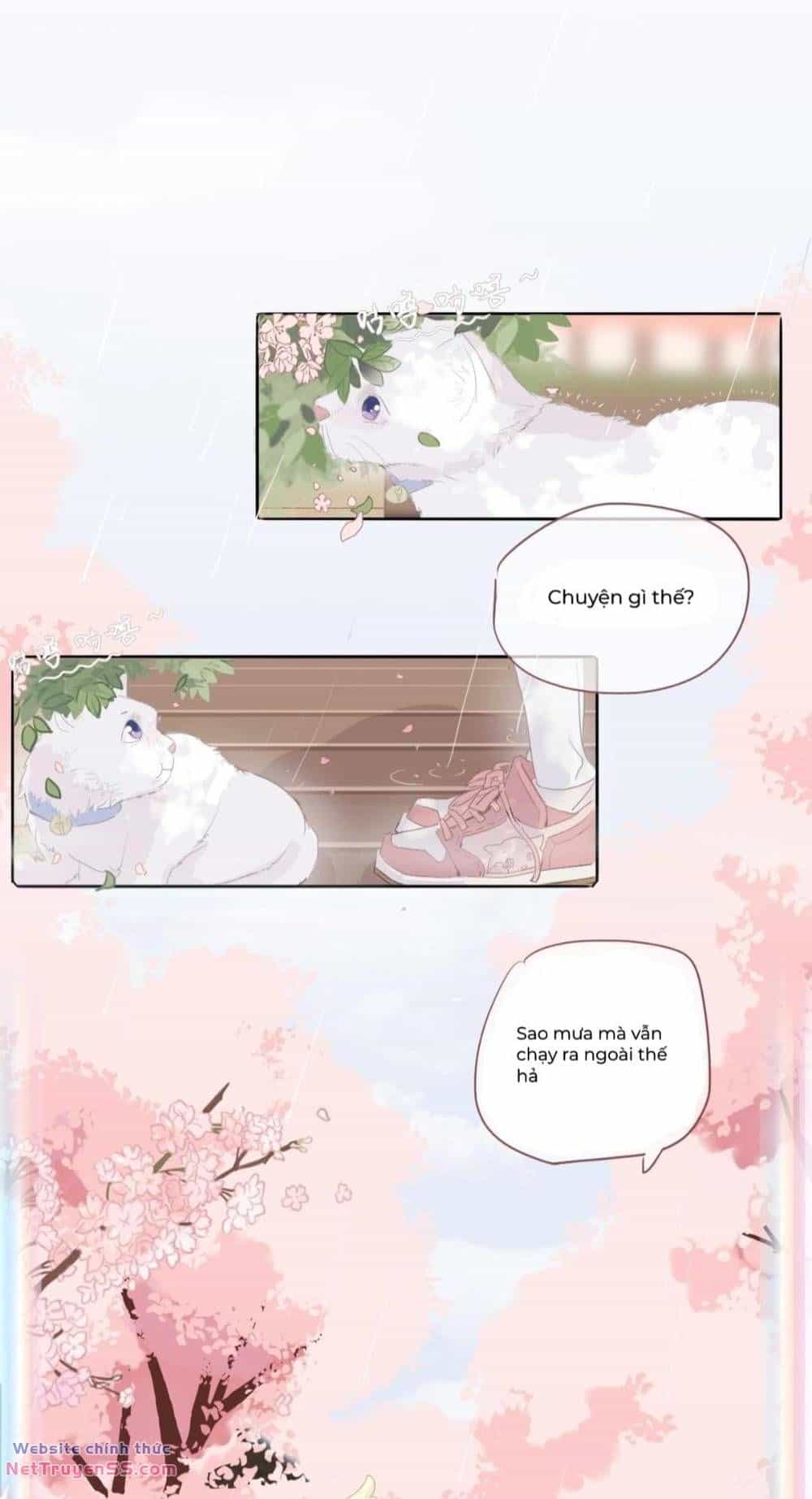 Ghi Chú Hoa Anh Đào - Chương 0.5 - ảnh 4