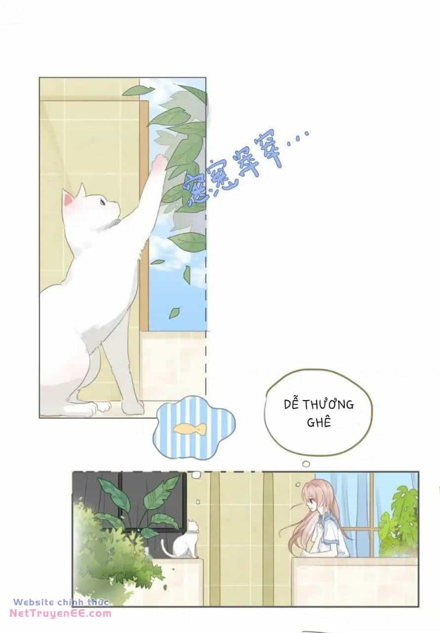 Ghi Chú Hoa Anh Đào - Chương 2 - ảnh 8