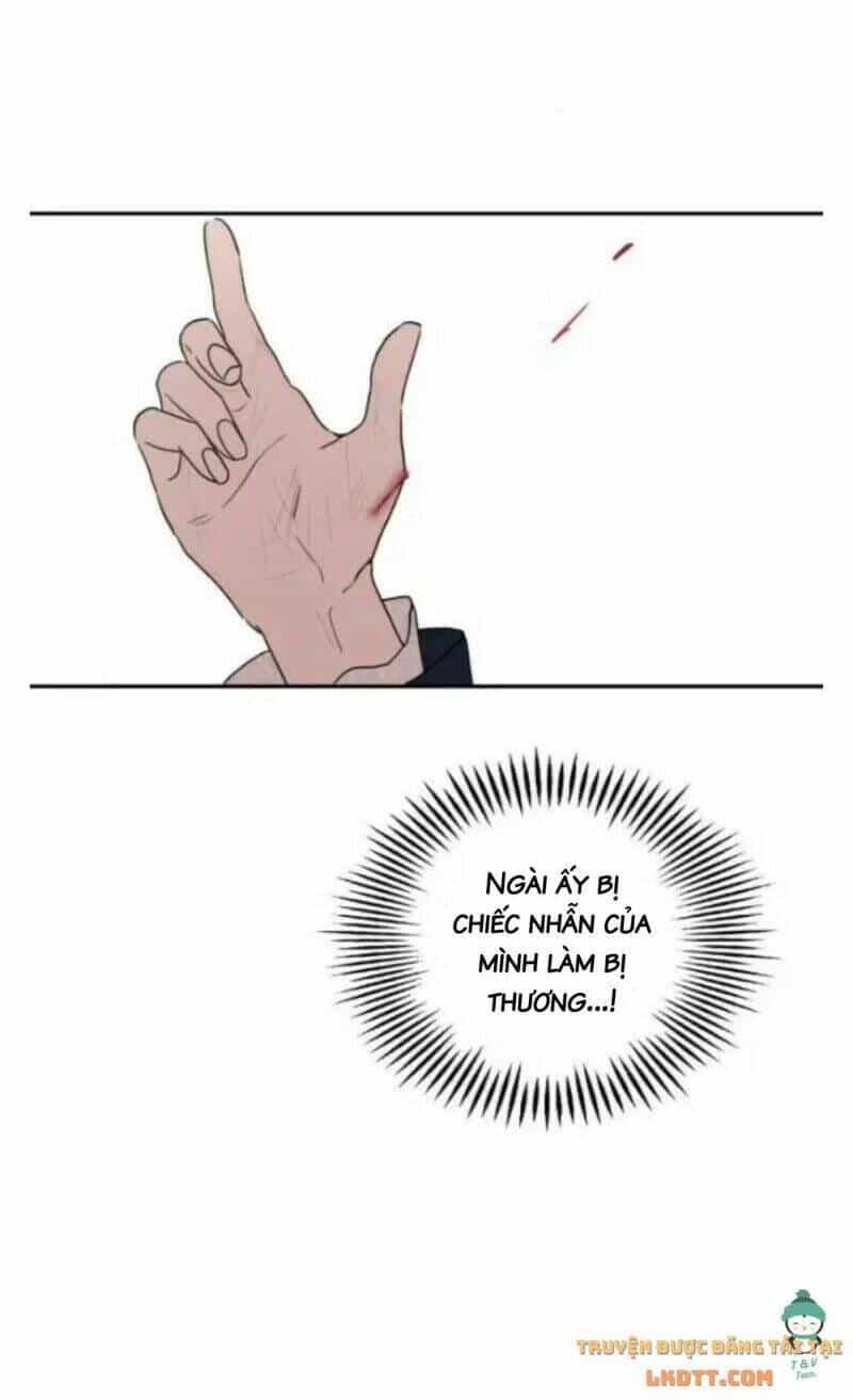 Gia Đình Chồng Vô Cùng Yêu Thích Tôi - Chương 2 - ảnh 27