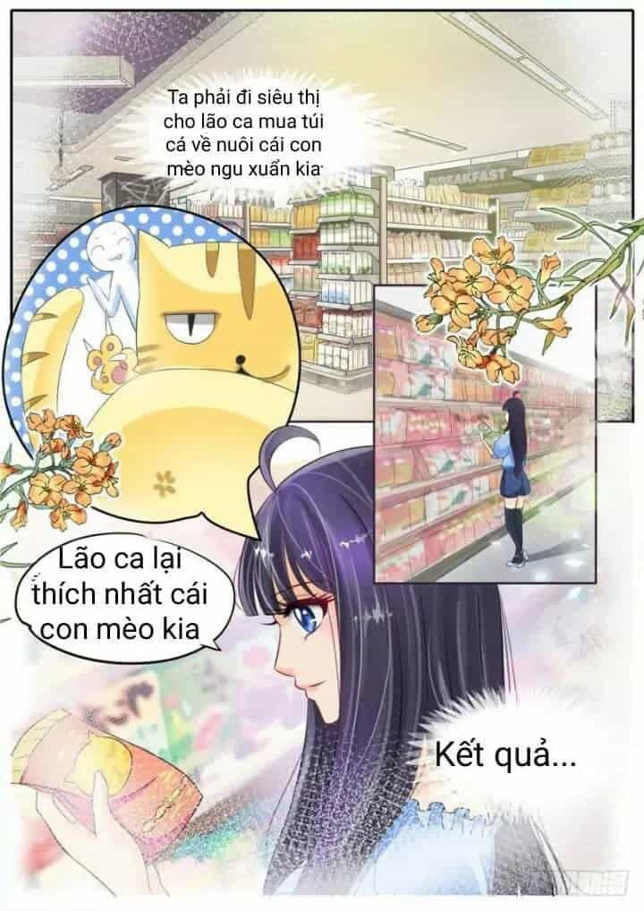 Gia Huynh Ở Lại Tìm Đường Chết - Chương 2 - ảnh 3