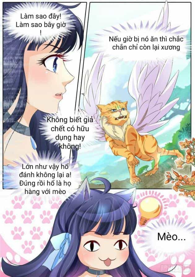 Gia Huynh Ở Lại Tìm Đường Chết - Chương 3 - ảnh 7