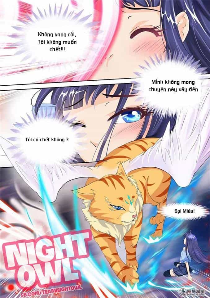 Gia Huynh Ở Lại Tìm Đường Chết - Chương 5 - ảnh 6