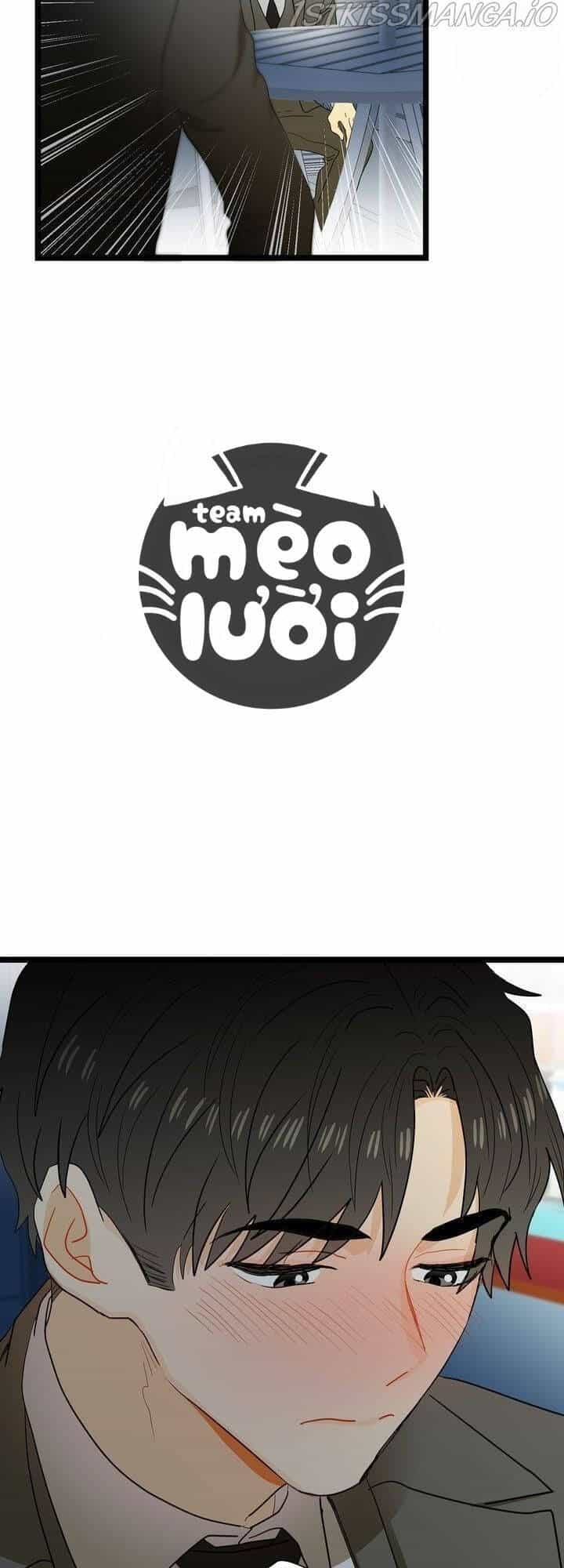 Giả Mạo Theo Phong Cách - Chương 56 - ảnh 48
