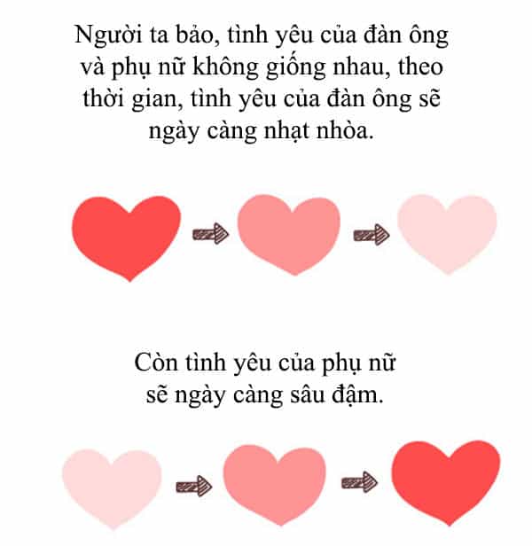 Giải Mã Tình Yêu - Chương 242 - ảnh 1