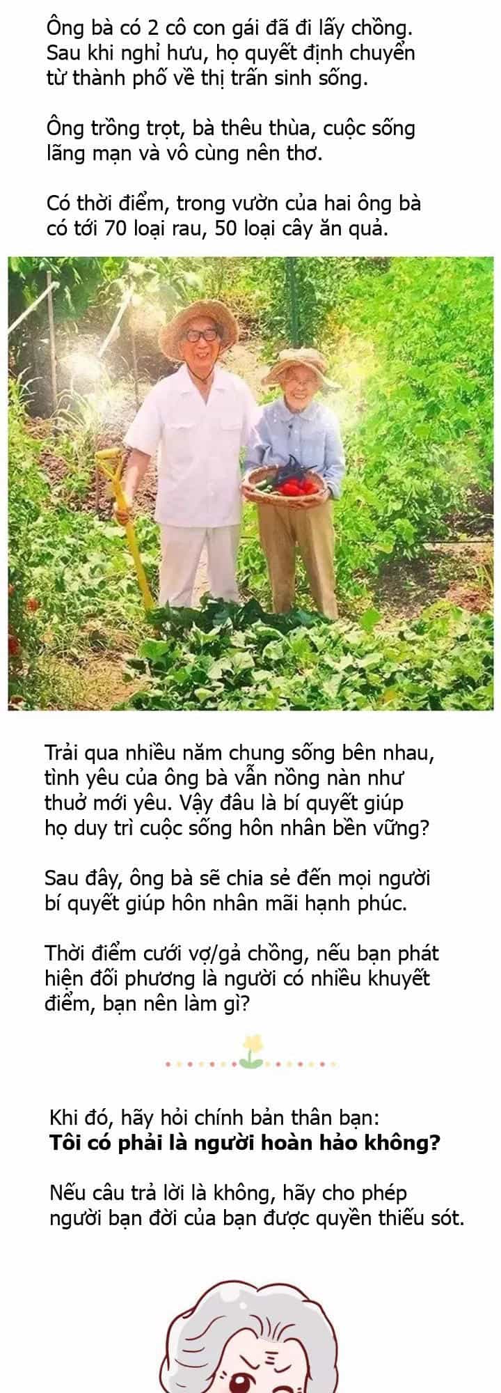 Giải Mã Tình Yêu - Chương 277 - ảnh 3