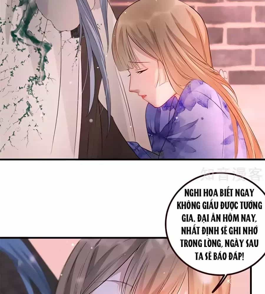 Gian Phi Như Thử Đa Kiều - Chương 19 - ảnh 50