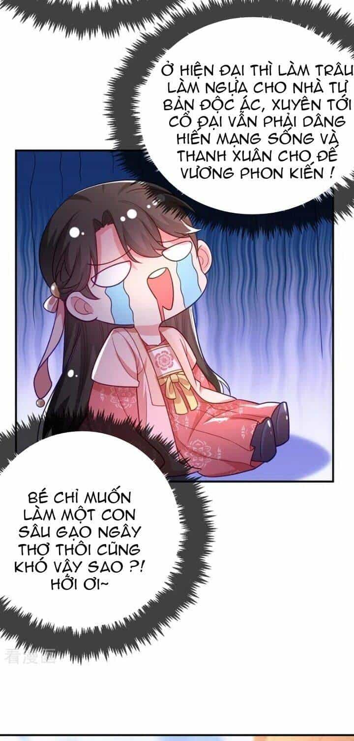 Giang Sơn Mỹ Nam Nhập Trướng Ta - Chương 43 - ảnh 5