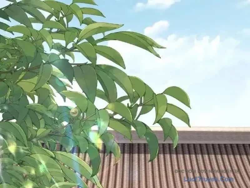 Giáo Chủ Ma Giáo Vụng Trộm Xem Ta Tu Luyện - Chương 31 - ảnh 35