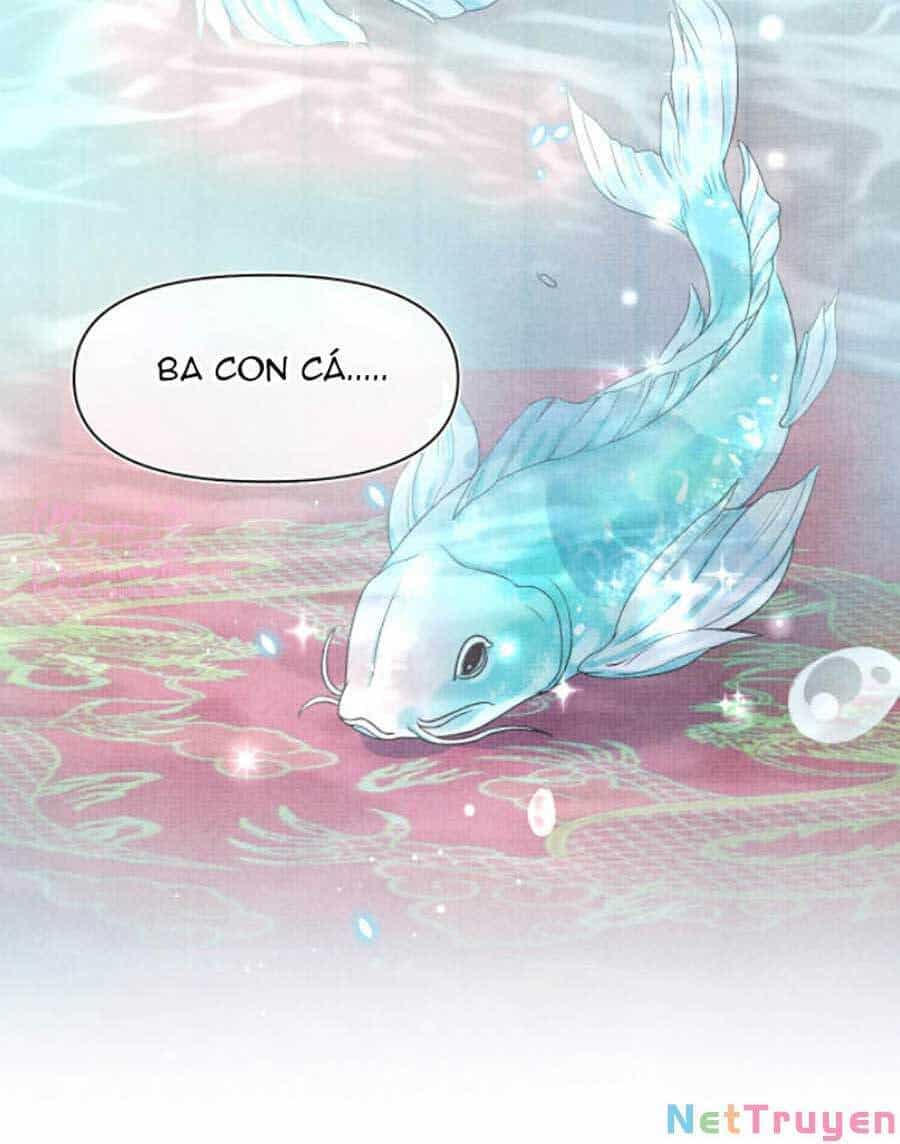Giao Nhân Tể Tể Ba Tuổi Rồi! - Chương 7 - ảnh 14