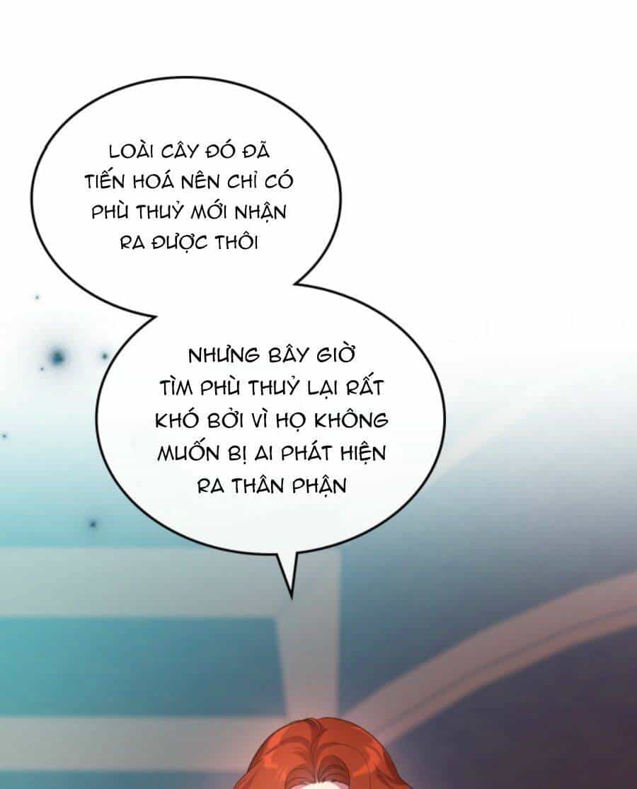 Giết Chết Ác Nữ Phản Diện - Chương 62.1 - ảnh 19