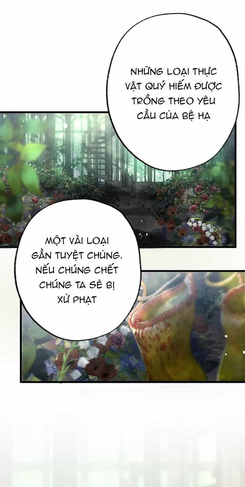Giết Chết Niềm An Ủi Duy Nhất Của Ta - Chương 13.2 - ảnh 3