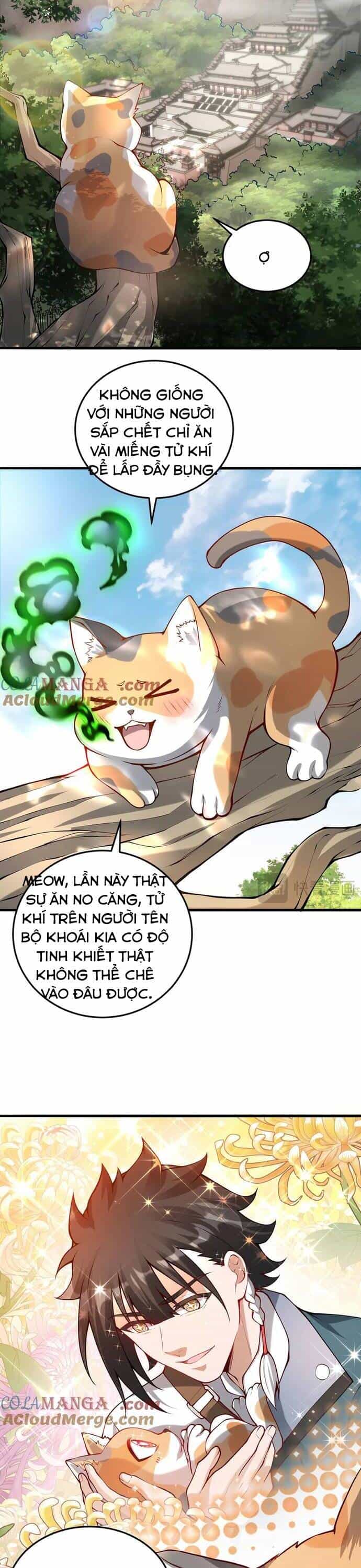 Giết Ta Thêm Vài Lần Nữa, Ta Liền Trở Thành Vô Địch! - Chương 26 - ảnh 6