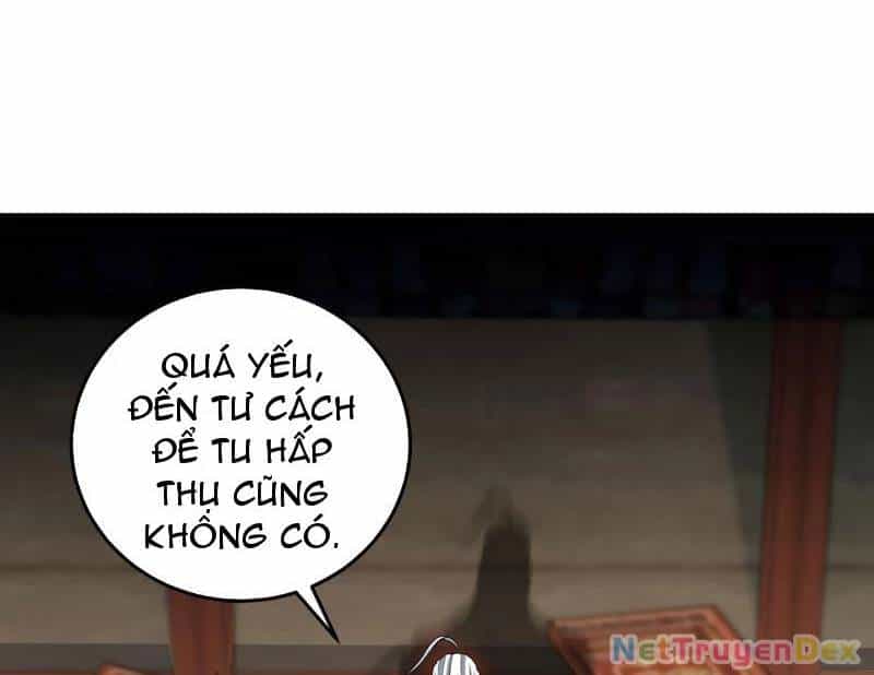 Giết Ta Thêm Vài Lần Nữa, Ta Liền Trở Thành Vô Địch! - Chương 36 - ảnh 165