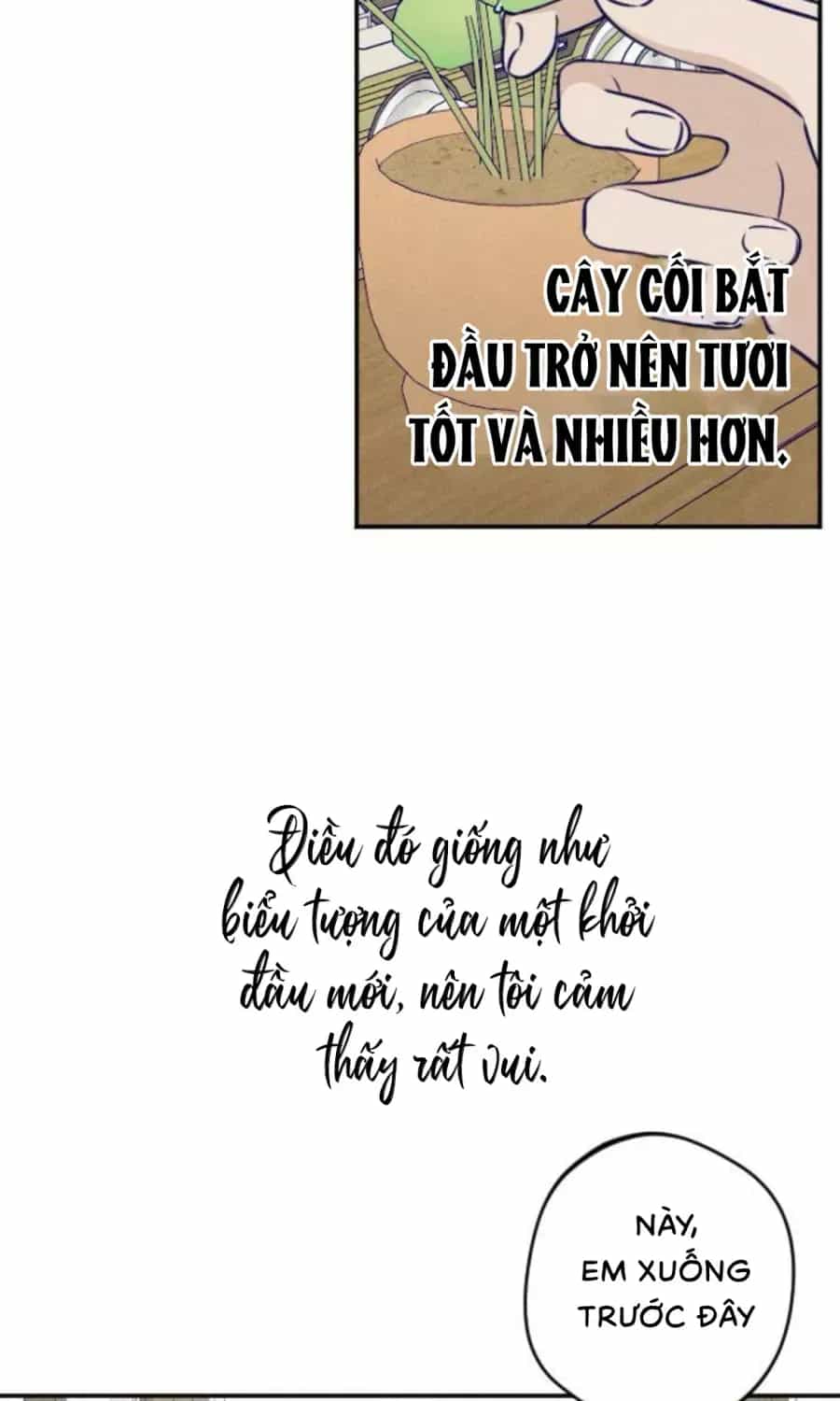 Gửi Đến Da Jeong Của Tôi - Chương 25 - ảnh 10