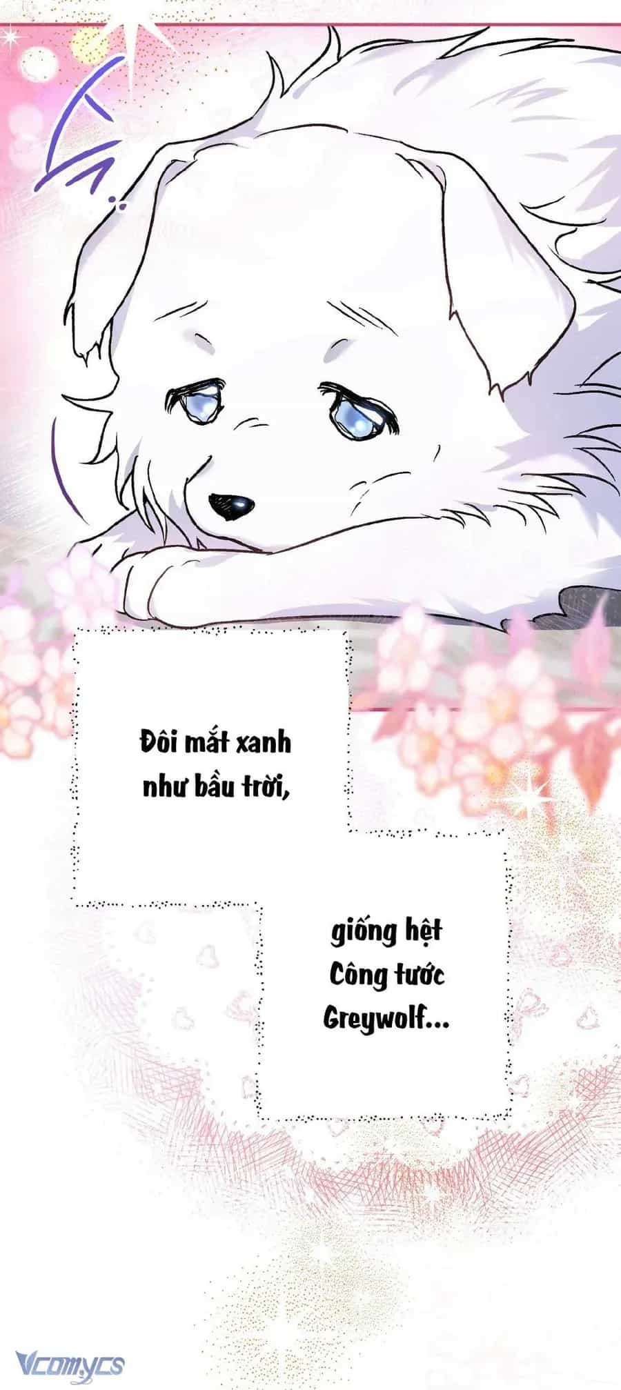 Gửi Đến Người Sói Yêu Dấu Của Em - Chương 1 - ảnh 73