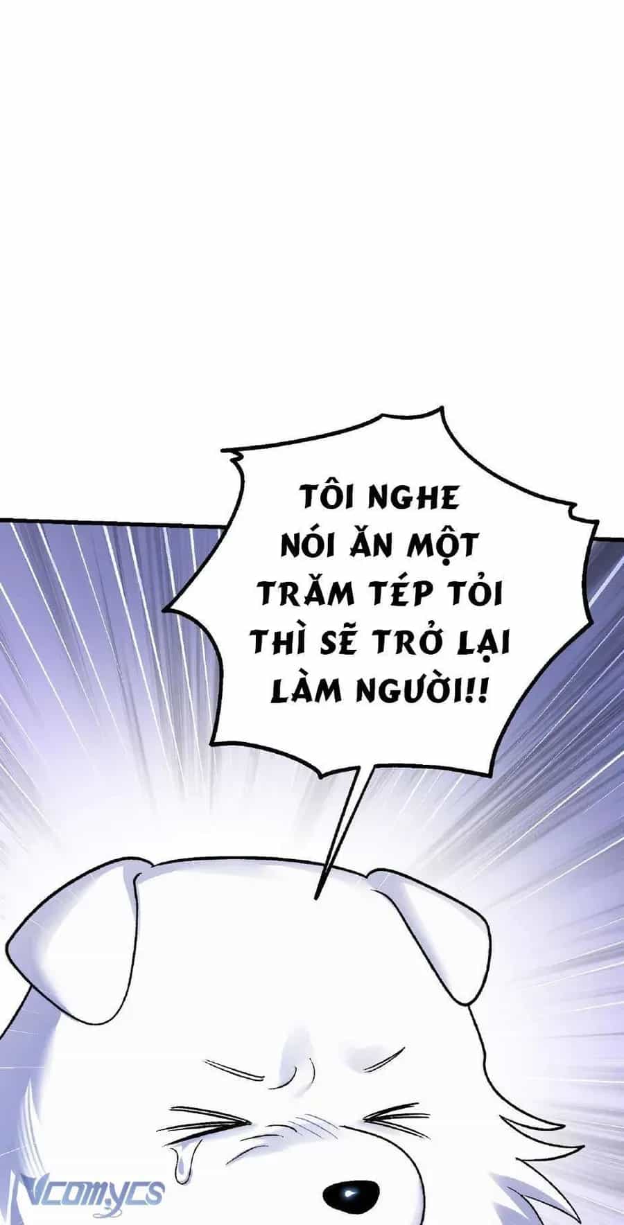 Gửi Đến Người Sói Yêu Dấu Của Em - Chương 6 - ảnh 17