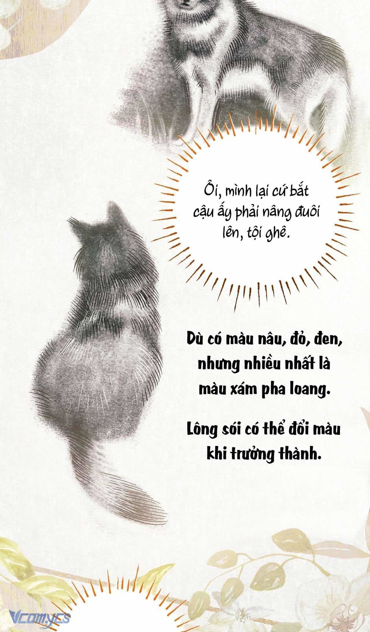 Gửi Đến Người Sói Yêu Dấu Của Em - Chương 9 - ảnh 77