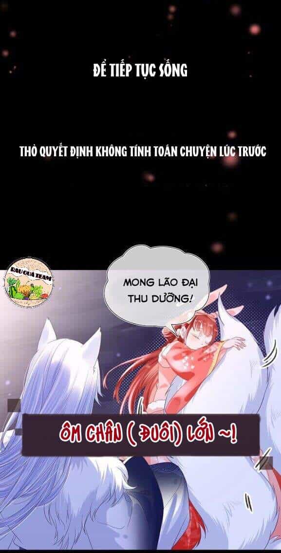 Hắc Hóa Nam Chính Trực Tuyến Nuôi Thỏ - Chương 1 - ảnh 11