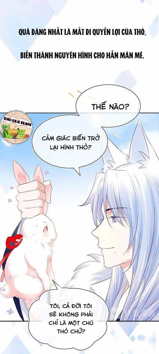 Hắc Hóa Nam Chính Trực Tuyến Nuôi Thỏ - Chương 1 - ảnh 14