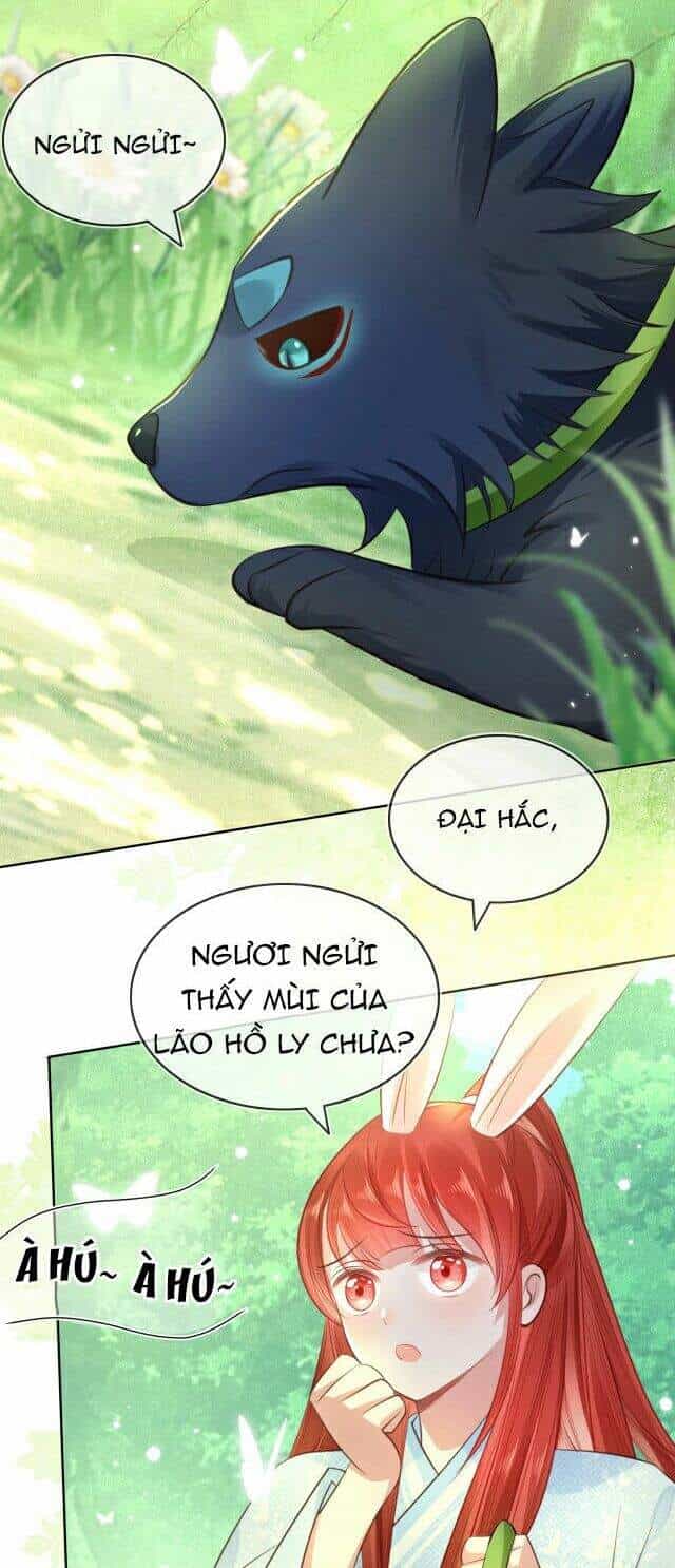 Hắc Hóa Nam Chính Trực Tuyến Nuôi Thỏ - Chương 21 - ảnh 2