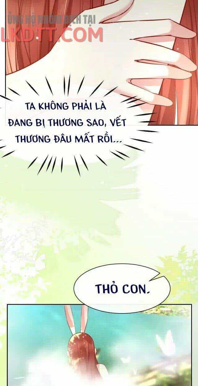 Hắc Hóa Nam Chính Trực Tuyến Nuôi Thỏ - Chương 25 - ảnh 7