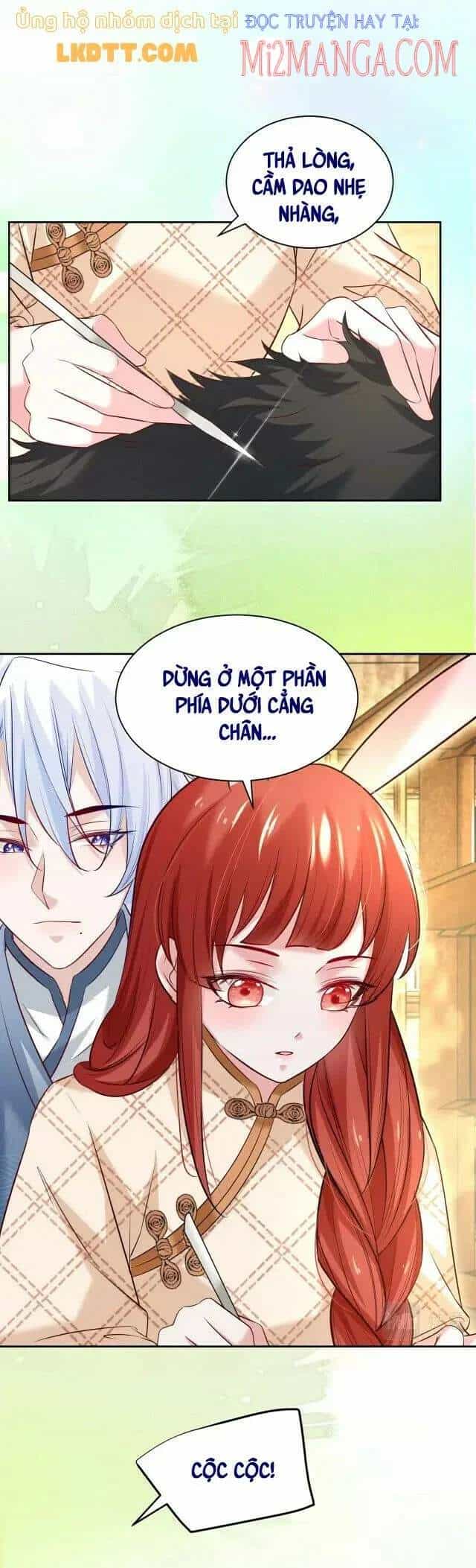 Hắc Hóa Nam Chính Trực Tuyến Nuôi Thỏ - Chương 40 - ảnh 2