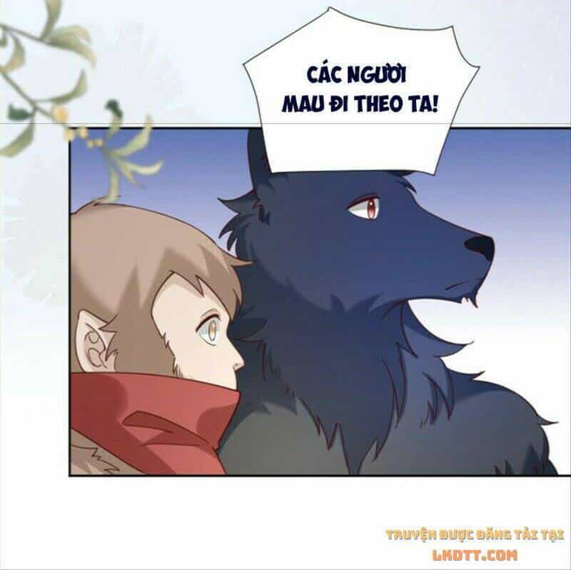 Hắc Hóa Nam Chính Trực Tuyến Nuôi Thỏ - Chương 51 - ảnh 29