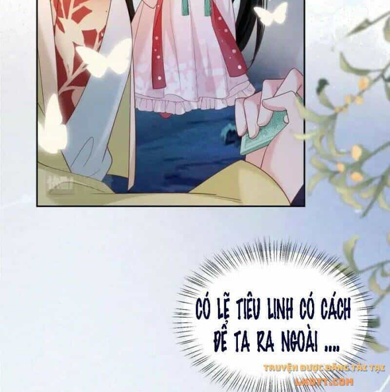 Hắc Hóa Nam Chính Trực Tuyến Nuôi Thỏ - Chương 53 - ảnh 23