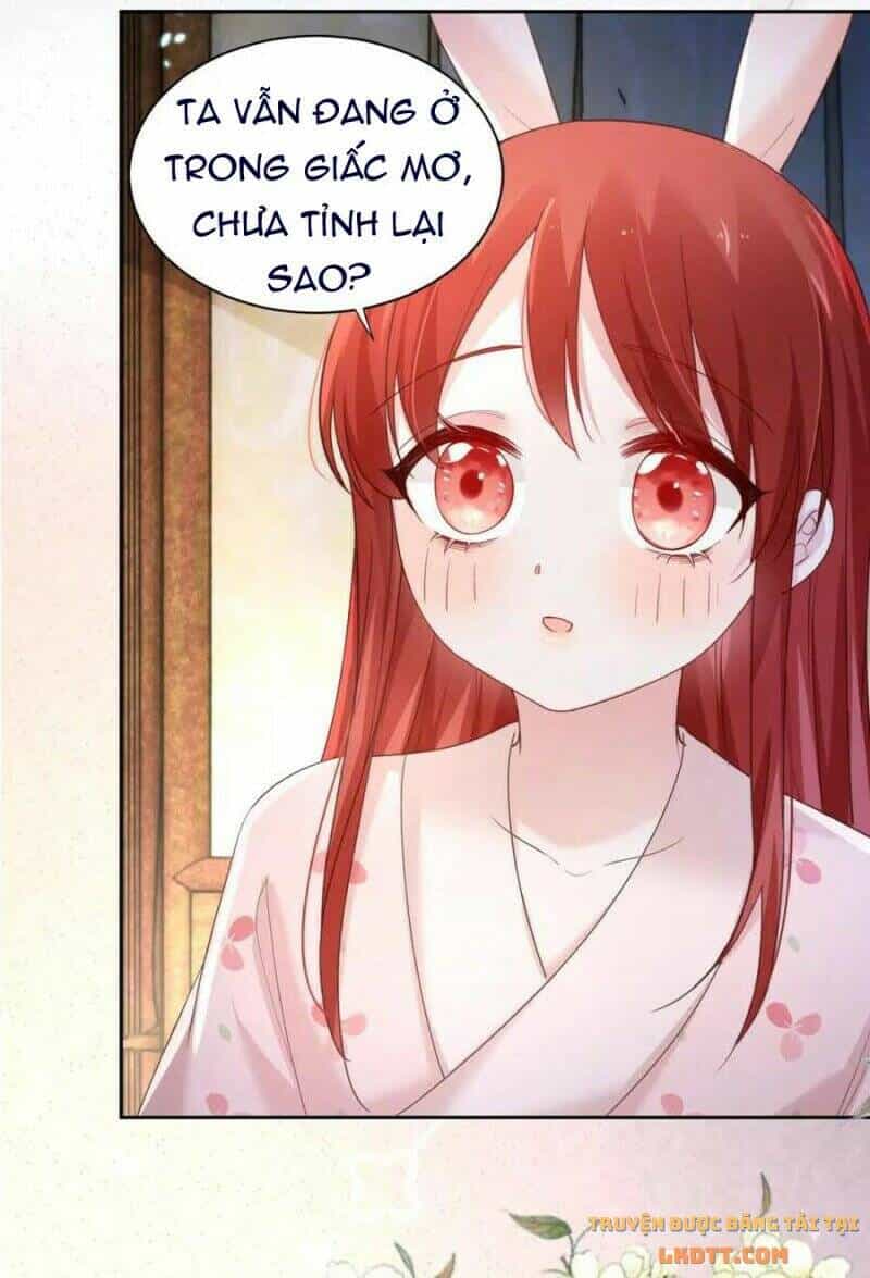 Hắc Hóa Nam Chính Trực Tuyến Nuôi Thỏ - Chương 59 - ảnh 29