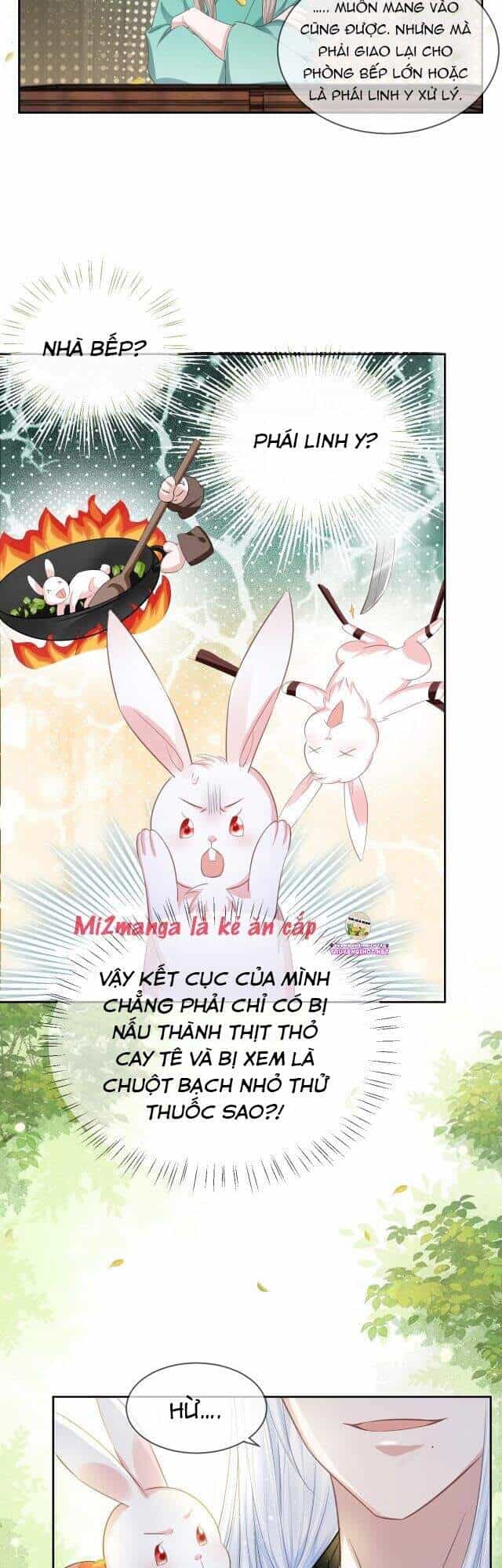 Hắc Hóa Nam Chính Trực Tuyến Nuôi Thỏ - Chương 9 - ảnh 18