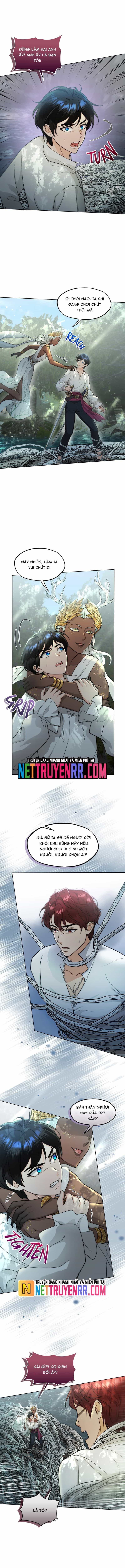 Hải Âu & Sói Hoang - Chương 30 - ảnh 9