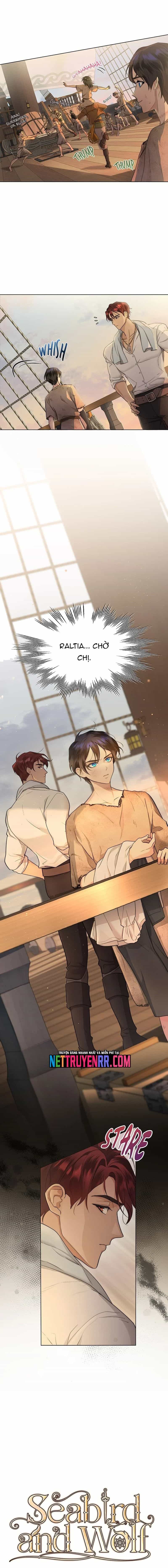 Hải Âu & Sói Hoang - Chương 4 - ảnh 6