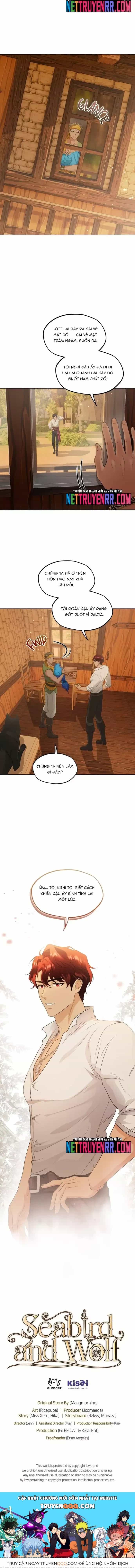 Hải Âu & Sói Hoang - Chương 40 - ảnh 12