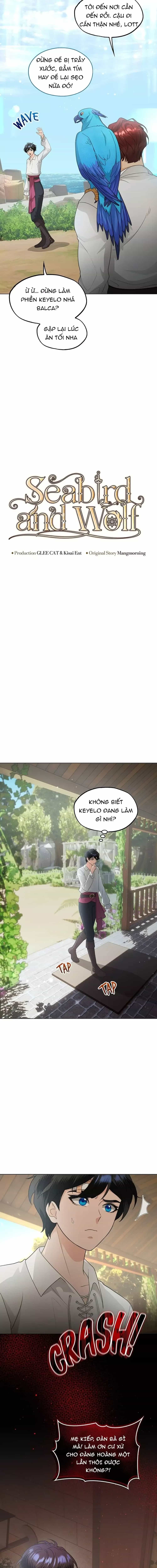 Hải Âu & Sói Hoang - Chương 41 - ảnh 4