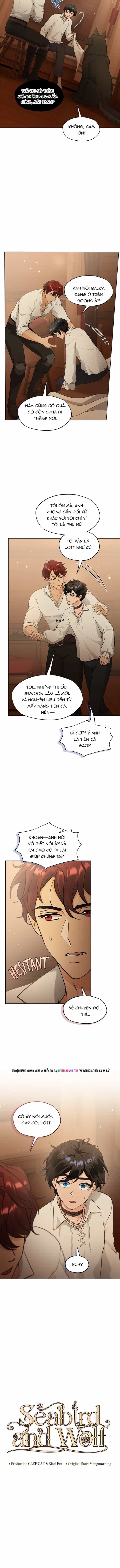 Hải Âu & Sói Hoang - Chương 63 - ảnh 3