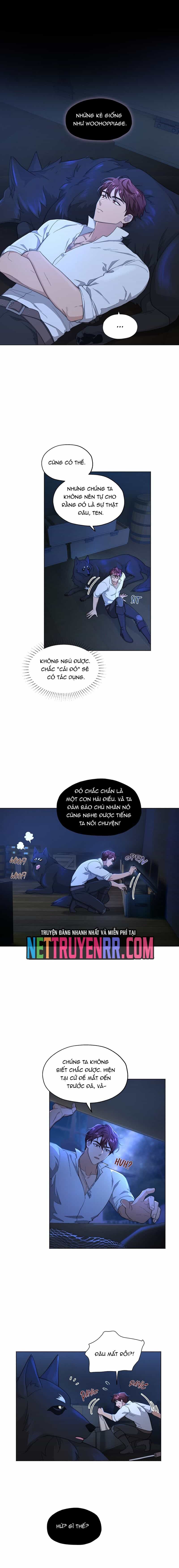 Hải Âu & Sói Hoang - Chương 8 - ảnh 8