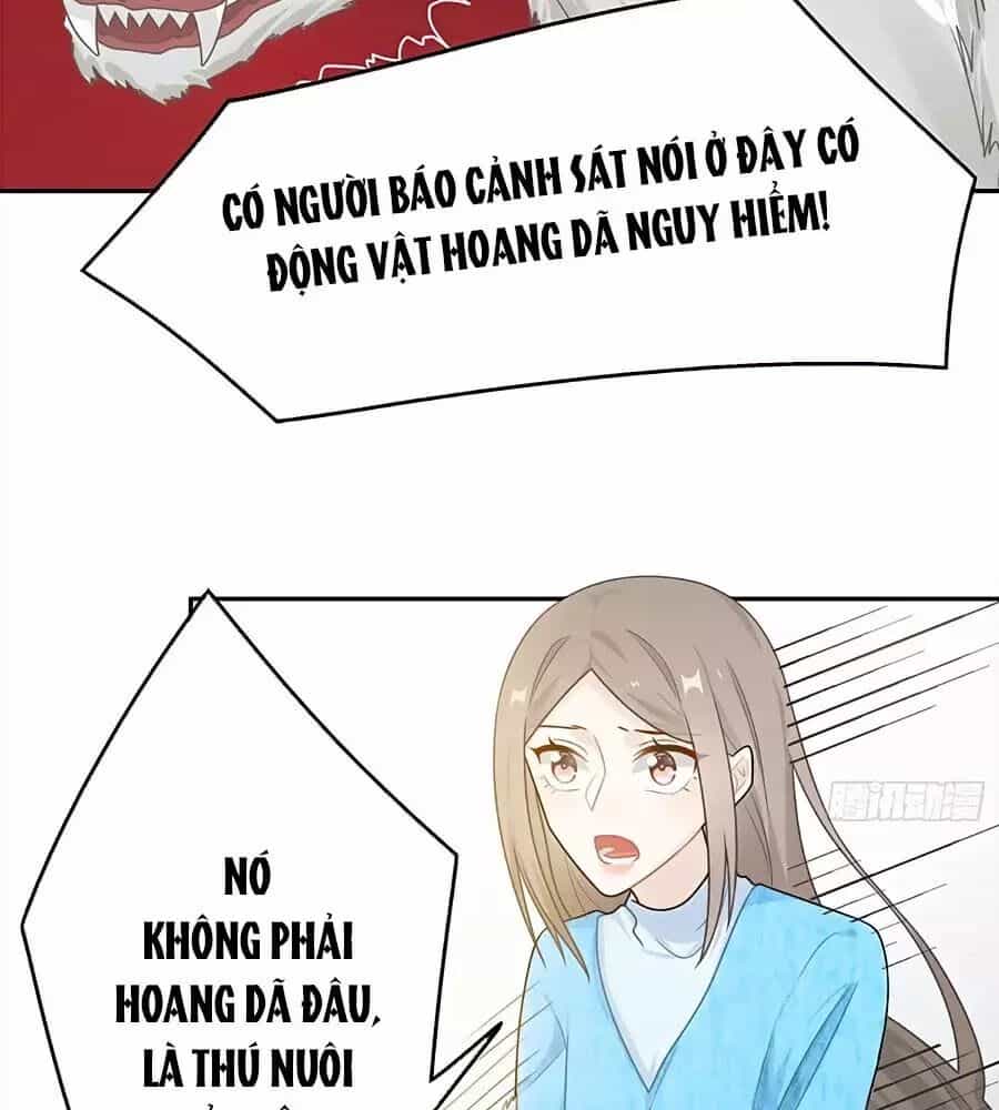 Hai Cách Tìm Gặp Người Yêu - Chương 51 - ảnh 22