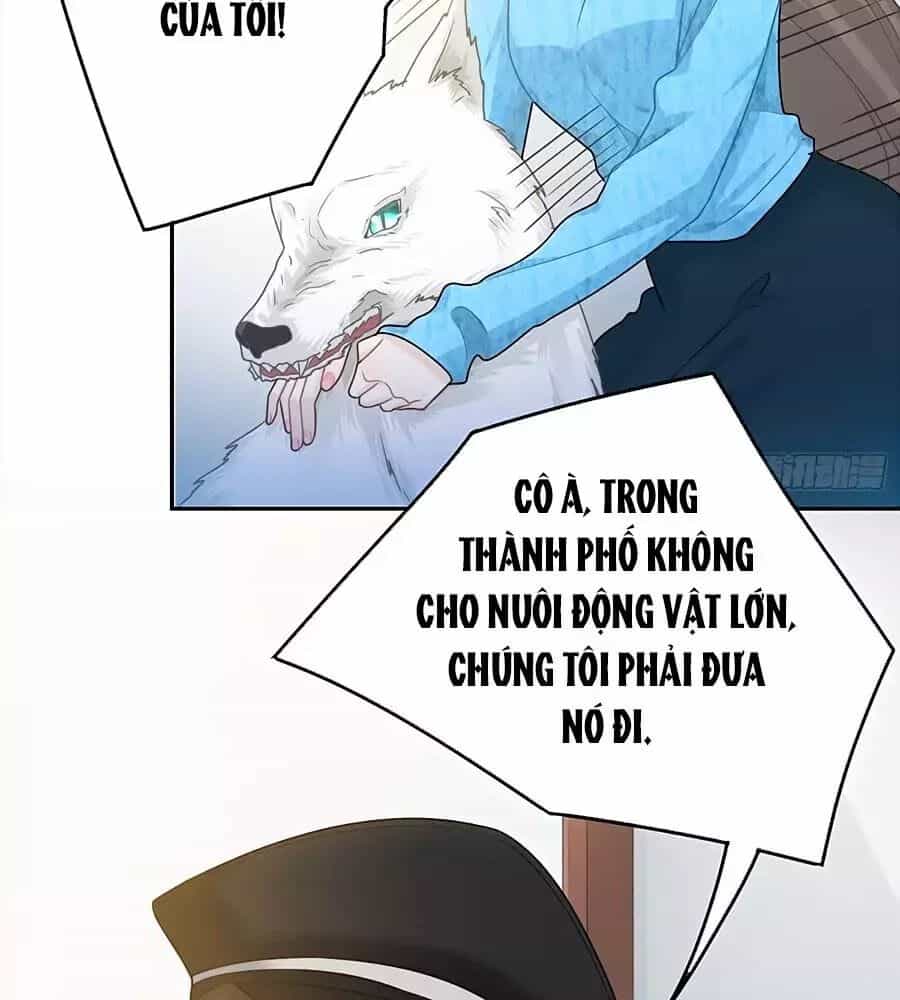 Hai Cách Tìm Gặp Người Yêu - Chương 51 - ảnh 23