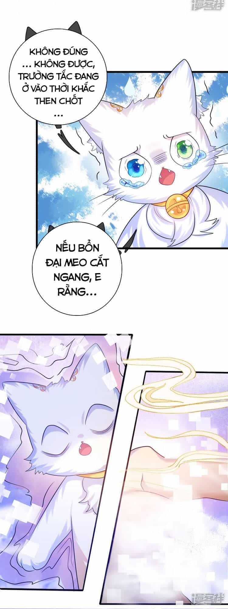 Hài Đế Vi Tôn - Chương 101 - ảnh 13