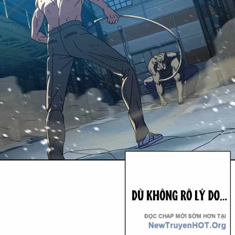 Hàn Băng Võ Giả - Chương 29 - ảnh 82
