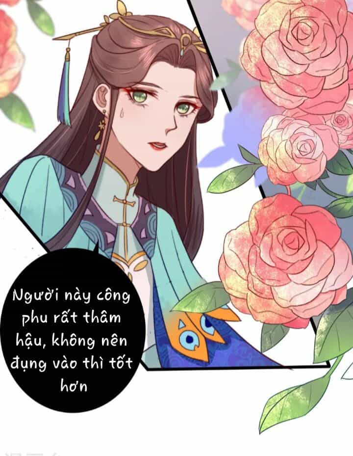 Hành Trình Huy Hoàng - Chương 11 - ảnh 11
