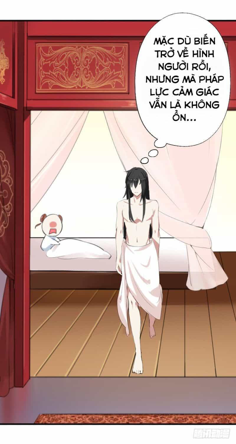 Hành Trình Sủng Đế Cơ - Chương 2 - ảnh 5